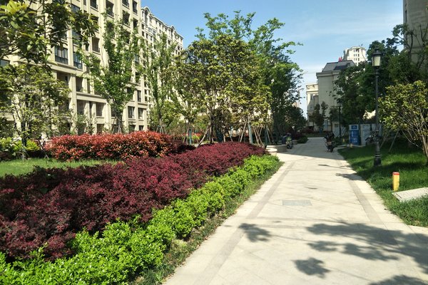 塞那怎么样 600x400c.jpg?t=1