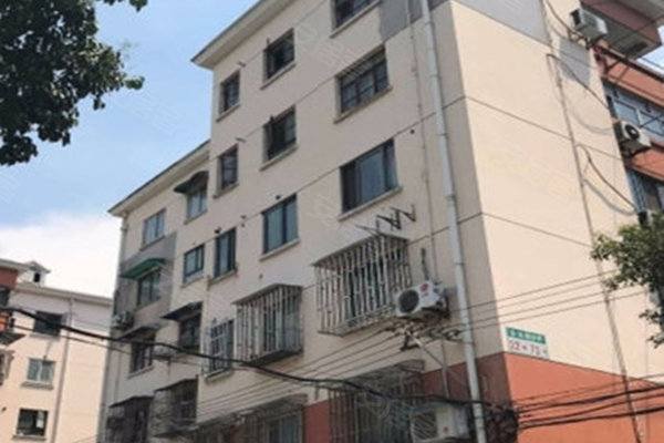 真光新村人口_恶狼游戏新村洸图片(2)