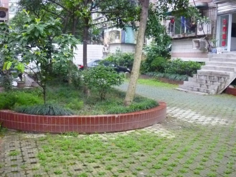 康居人口_人和康居