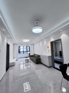 新店雅苑精装两室刚退租空调一级能耗，2室朝阳，京东方维信诺