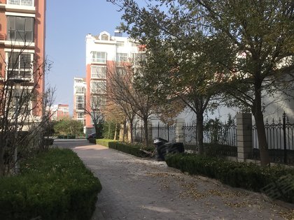 科达华苑d区