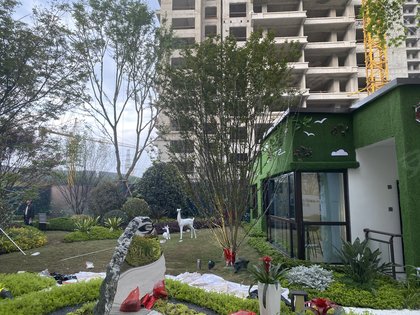 阳光白鹭洲