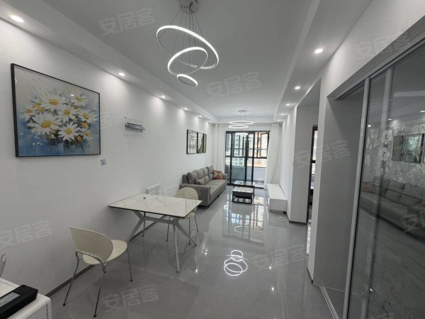 盈福新居_精装两室_中国网谷_红旗产业园_46号线双地铁