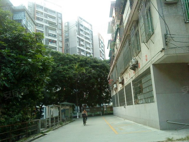 广州 <em>有色金属</em>研究院小区<em>照片</em> - 安居客