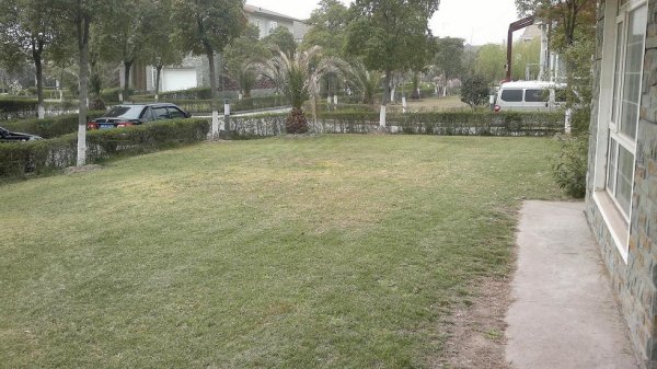 棕榈滩别墅_棕榈滩别墅销售收入(2)