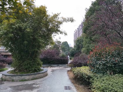 鄱阳人口碑