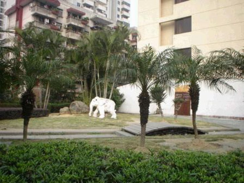 福州 煤气单位宿舍小区照片