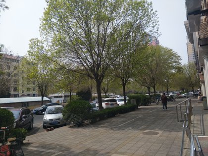 翠亨村人口_广东省中山市翠亨村