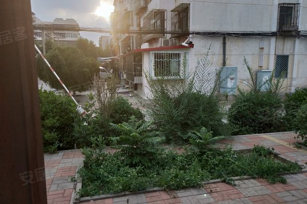 文安人口碑_文安智慧新城户型图