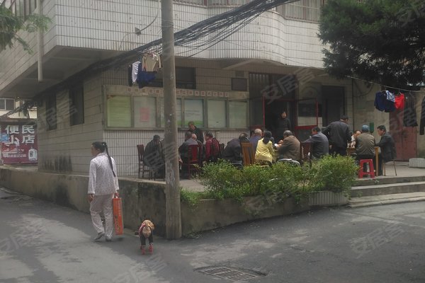 阜南县有多少人口_阜南那些嫁到外地的姑娘,你后悔了吗(2)
