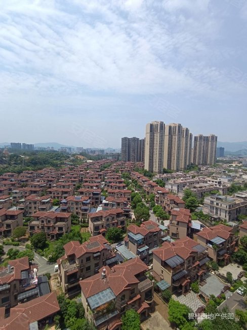 东莞房产网>东莞二手房>塘厦二手房>新开发区二手房>碧桂园天麓山