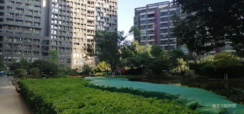 同德旁 顶跃精装中空客厅带屋顶露台 一梯一户 墅级品质,星雅俊园二手