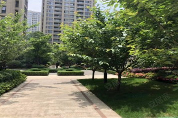 绿城的排名_绿城物业