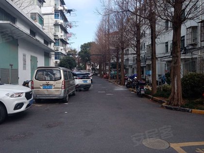 呼玛五村169号