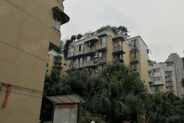 锦江小学排名_麻阳锦江小学毕业照(2)