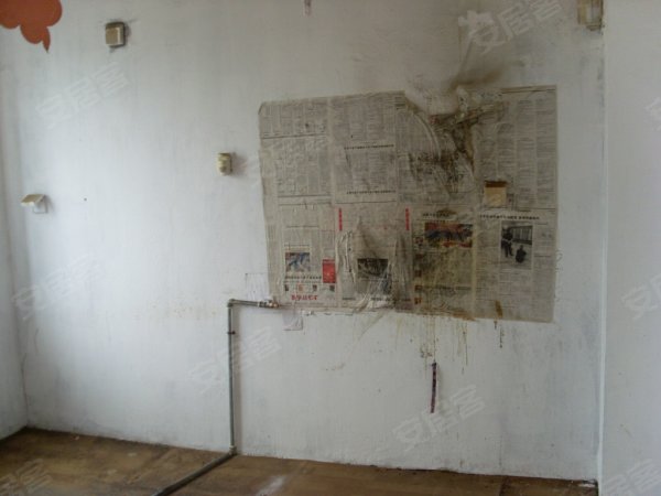 600x600.jpg