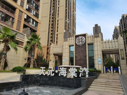 不足,天元海棠湾怎么样,天元海棠湾周边房产中介经纪人评价-湘潭安居