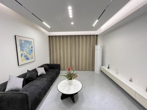 大连路_云川雅筑_民水电_客厅带柜机_近国轩高科_包河工业园