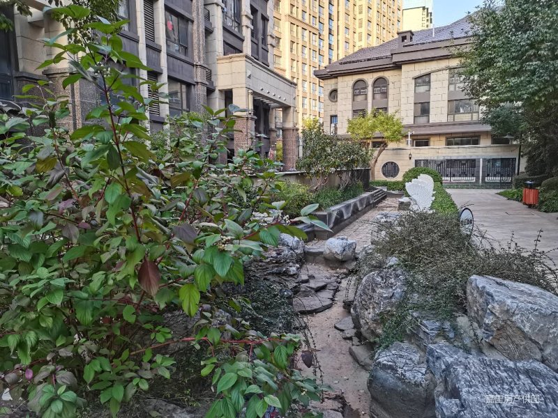 滨河东路旁拉菲一层洋房带院子带地下室308平米360万,拉菲香榭二手房