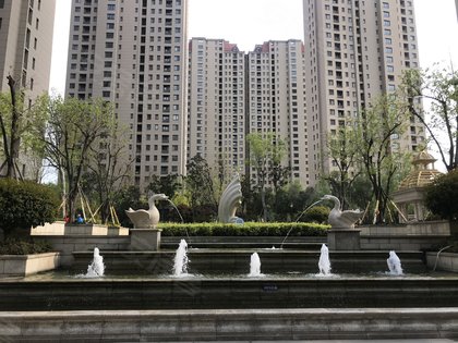 鑫江水青花都优点、不足,鑫江水青花都