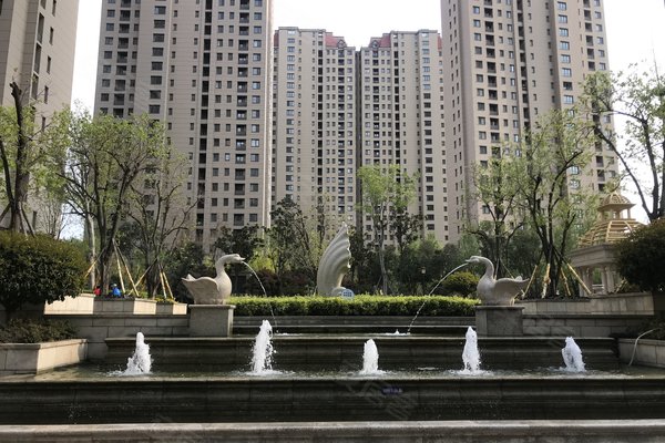 鑫江水青花都优点、不足,鑫江水青花都