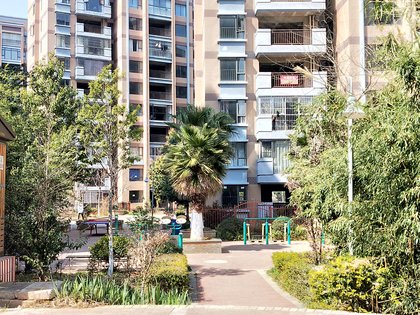 福泽苑 楚雄市-楚雄城区-茶花大道