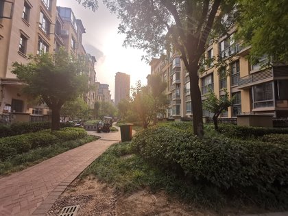 普罗旺世塞纳维斯