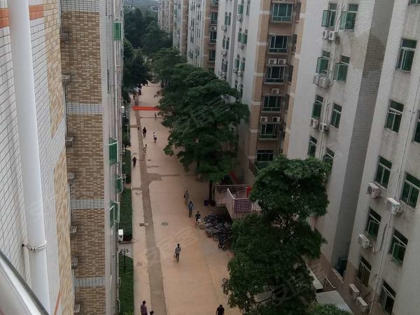 民乐翠园3房2厅1卫 3地铁口 出行方便 小区环境好 安静,龙华租房-深圳