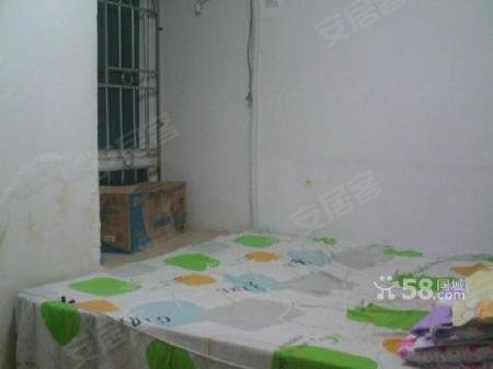 高三体育生,想了解靠体育考上普通本科,在大学