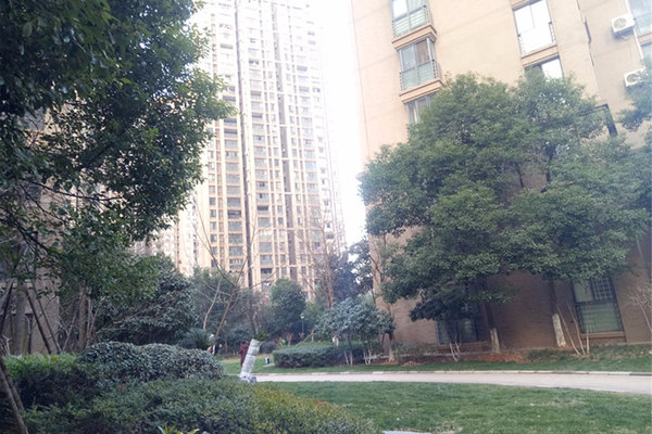百瑞景人口_人口普查(3)