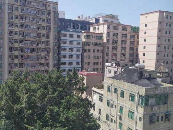 深圳宝安固戍固戍海滨新村1号线西乡地铁附近 大阳台精装电梯房 拎包