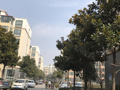 河南漯河人口碑怎么样_河南漯河图片(3)