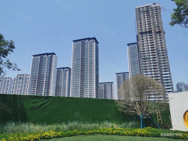 保利堂悦巫家坝cbd.精装住宅3室两厅两卫.南北通透户型