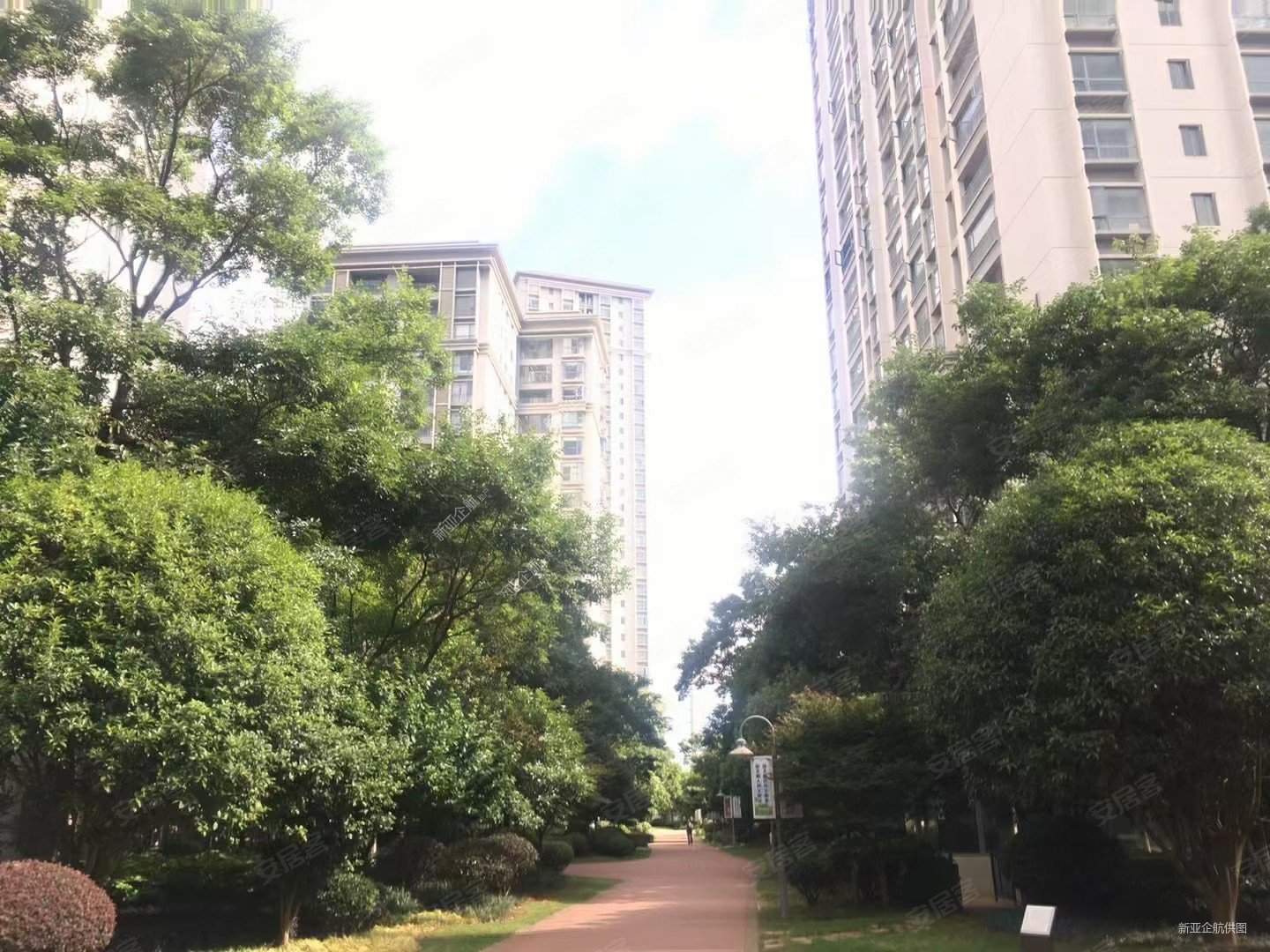 中华旁市政府风华俊园精装3房145平165万东南