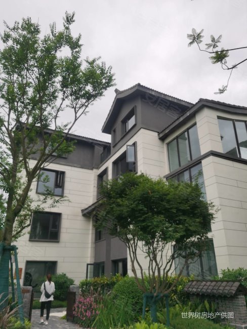 江口水镇别墅
