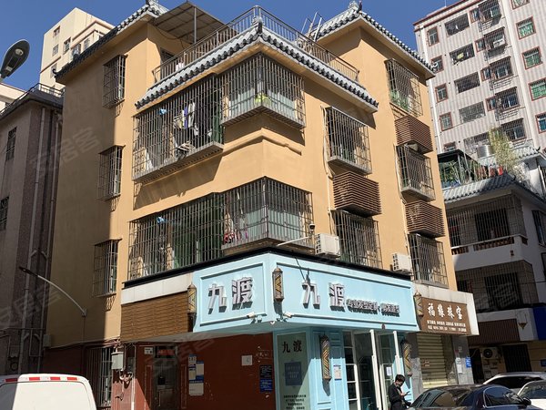 深圳龙岗坂田南坑村南坑 五和光雅园双地铁 家电家私齐全 拎包入住 押