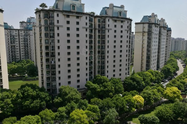 上海康城人口_上海康城地区的卫星图更为震撼-从松江到莘庄,上海这个最大社(2)