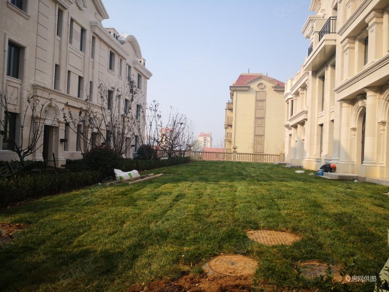 御园板块电梯洋房精装未住套四一手房手续鲁商蓝岸丽舍