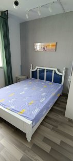 新店花园，可短租，新蚌埠路，新站广场陶冲湖精装拎包入住