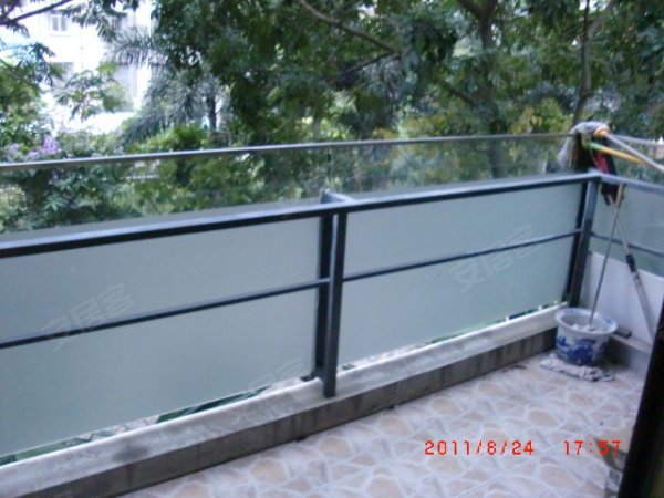 【多图】<em>林妹妹</em>圆您家的梦想,育才三中四小学