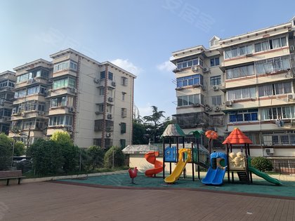 真光新村人口_恶狼游戏新村洸图片