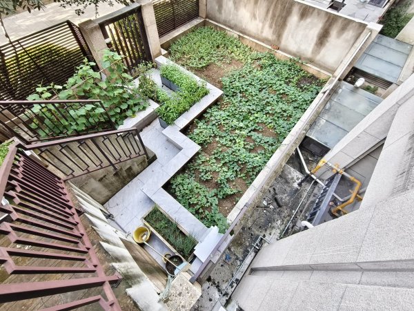 省府中轴自家院子可种菜养花_金茂悦首租可住家办公近7号线地铁