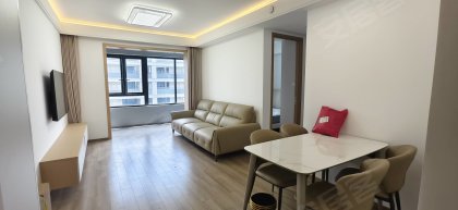 光合森林_业主自住精装_带车位_全屋定制柜_中央空调品牌家电