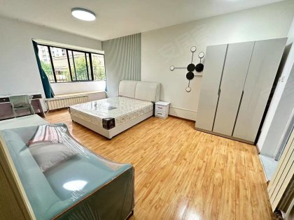 城建琥珀瑞安家园_南北通透_30平_电梯房