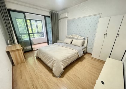 旭辉湖山源著_主卧带阳台独卫_新华御湖上园_科大讯飞_动物园
