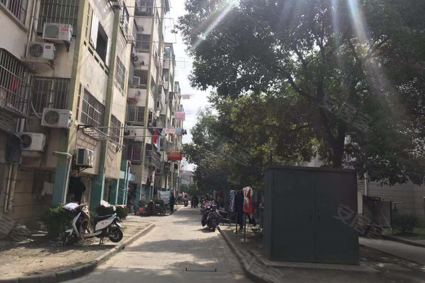 玉山外来人口_薛之谦天外来物图片(3)