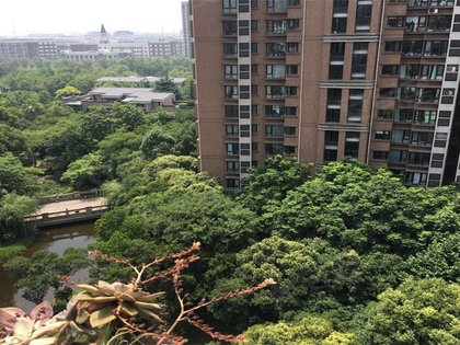 春申景城湖畔林语