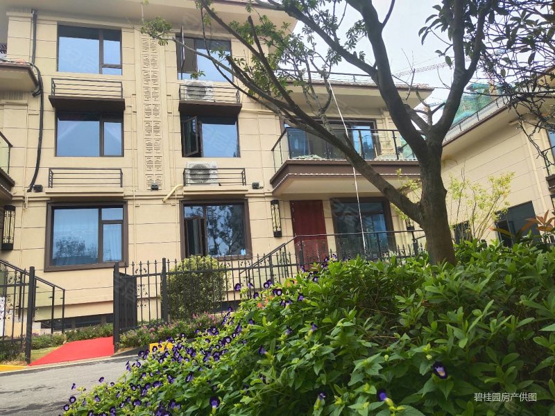 惊爆特价南京江北新区临湖别墅碧桂园翡丽庄园送挑高3.6地下室
