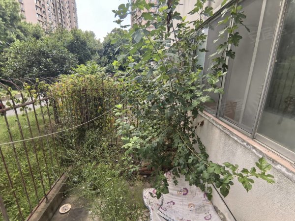一楼带院子三十八所宿舍单位大院，市政供暖近901医院