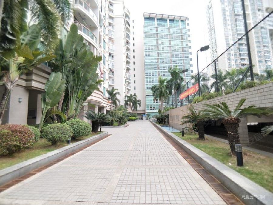 思北片鹭江道慧景城小区环境优美安静阳光充足全明